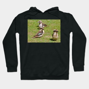 The Four Kookaburras! Hoodie